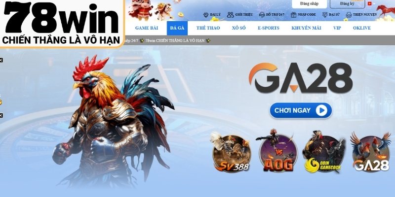 Hướng dẫn chọn phòng đá gà chuẩn cho tân thủ