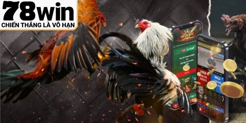 Tiêu chí quan trọng đảm bảo tỷ lệ thắng cao