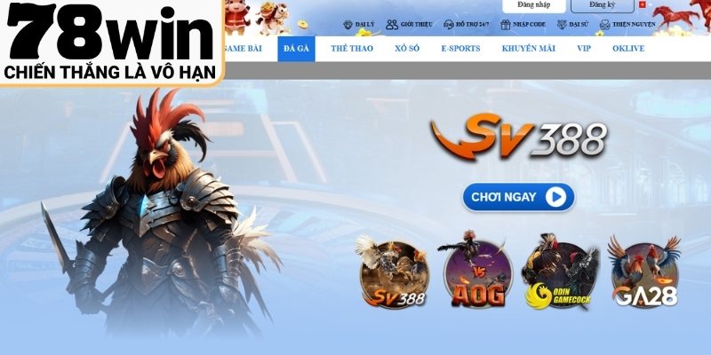 Sảnh đá gà 78win chuyên nghiệp và uy tín
