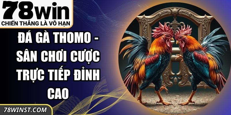 Đá Gà Thomo